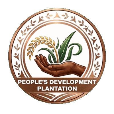 PDP Logo